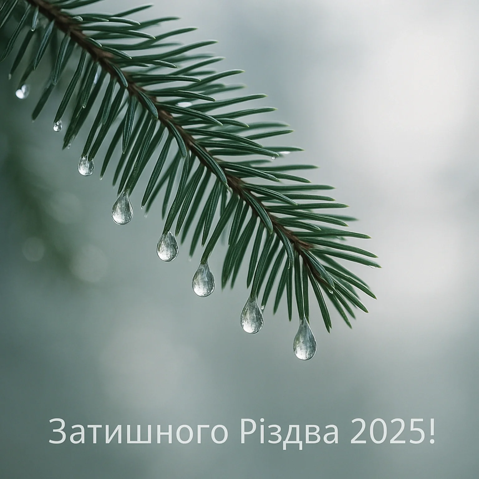 Привітання з Різдвом 2025: найкращі побажання у прозі та віршах