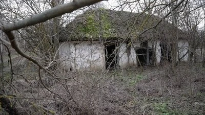 Життя всупереч зникненню села: як пасічник із Помазанівки тримається за свій дім