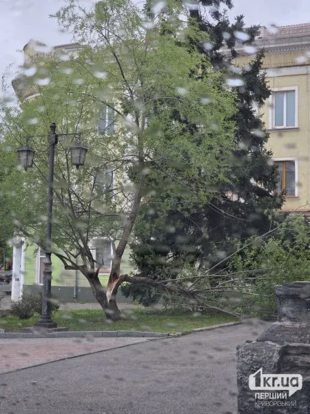 У Кривому Розі вітер зірвав банери меморіалу та пошкодив дерева після різкого погіршення погоди