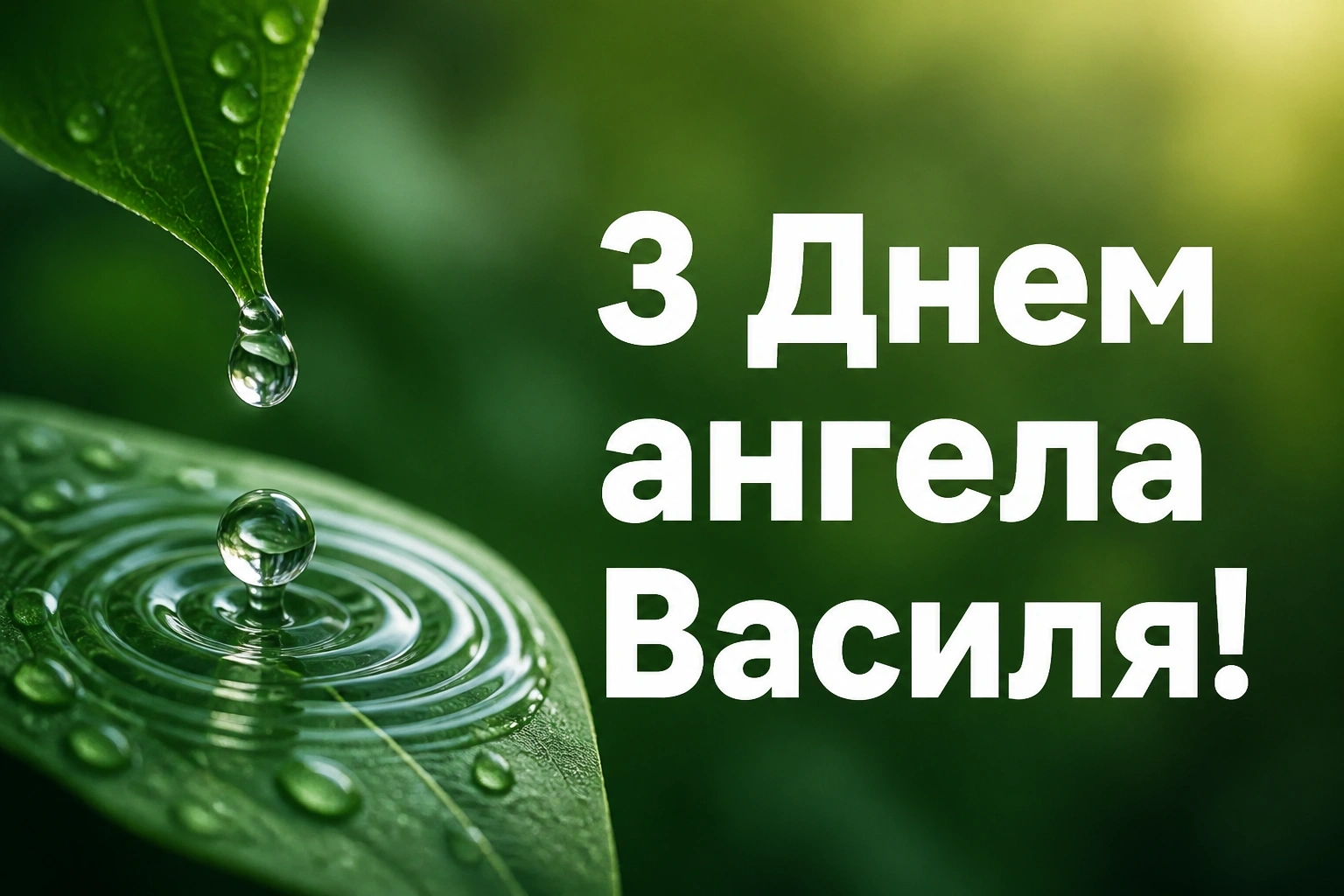 з днем ангела василя